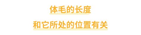 智慧毛|身上有一根毛特別長，是長壽象徵，還是癌變前兆？